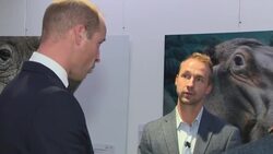 Prince William at United for Wildlife Summit News Clip