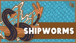 This Clam Sinks Ships Instructional Video