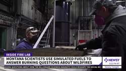 Understanding The Fire Paradox: Why We Need Fire To Prevent Fire News Clip