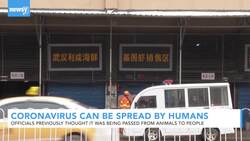 China's New Coronavirus Can Be Spread By Humans News Clip