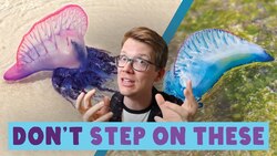 Hank Green Was Stung By This Critter Instructional Video