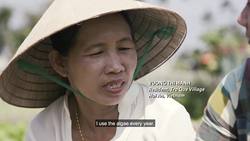 Exploring Organic Farming and Community Tourism in Vietnam Instructional Video