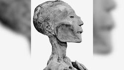 The Most Destructive Pandemics In History Instructional Video