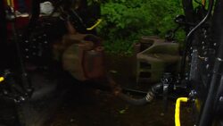 Sleep in a Treehouse! Cool Hotels Around the World Instructional Video