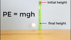The Physics of Bouncing a Ball | Science Project Instructional Video
