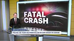 Police: 85-year-old man killed in Coram car crash News Clip