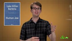 Pink Lake Mystery Solved! Instructional Video