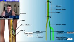Diagnosing Jimmy Crute's UFC261 Injury 🥊 Instructional Video