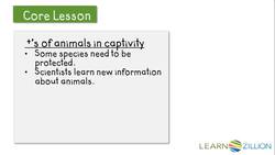 Organizing Ideas and Evidence in a Persuasive Essay Instructional Video