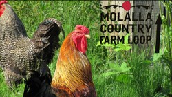 Farm Loop Tour: Connecting with your Local Farming Community Instructional Video