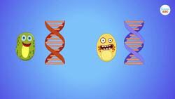 What are GMOs (Genetically Modified Organisms)? Instructional Video