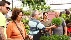 Family shop for plants with Salesman at Flower Market Stock Footage