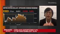 China’s Exports Keep Expanding, While Imports Fall News Clip