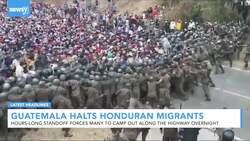 Newsy’s Latest Headlines News Clip