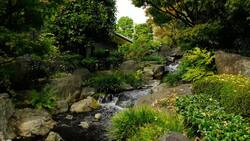 Zen Scapes: Drone Views of Japanese Garden Serenity Stock Footage