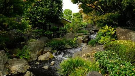Zen Scapes: Drone Views of Japanese Garden Serenity