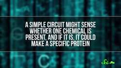 DNA: Not Just for Life Anymore! Instructional Video