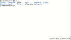 Linux Administration Bootcamp: Go from Beginner to Advanced - Basic Linux Commands Instructional Video