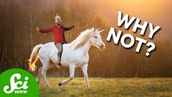 Why Can’t We Have Unicorns? Instructional Video