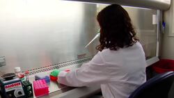 Scientific Bias Instructional Video