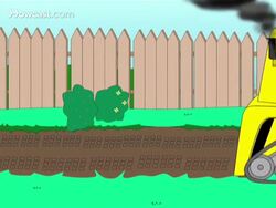 How to Get Rid Of Skunks Instructional Video