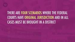 Structure of the Court System: Crash Course Government and Politics Instructional Video