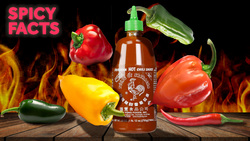 Some Flamin' Hot Facts About Spicy Foods Instructional Video