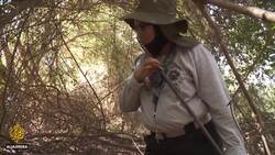 Warrior Hounds: The Mexican women searching for their disappeared News Clip