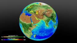 Plants Are Struggling to Keep Up with Rising Carbon Dioxide Concentrations Instructional Video