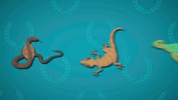 I WONDER - How Do Reptiles Keep Warm? Instructional Video