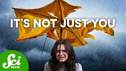 Yes, It Really Does Rain More on Weekends Instructional Video