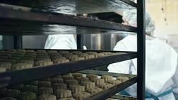 Pulling Baking Rack along Confectionery Hallway Stock Footage