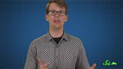 Why Don't We Have Cancer-Sniffing Dogs? Instructional Video