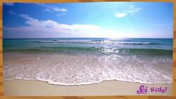 Using Our Senses to Explore the Beach! | Science at the Beach! | SciShow Kids Instructional Video