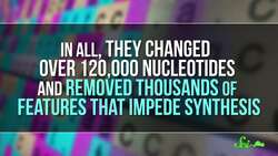 The First Computer-Generated Bacterial Genome | SciShow News Instructional Video