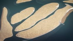 Artificial islands restore nature to lake in the Netherlands Instructional Video