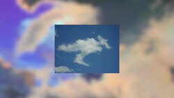 Pareidolia: The Phenomenon of Seeing Faces Everywhere Instructional Video