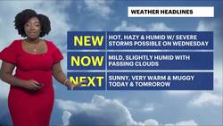Warm, muggy with a blend of sun and clouds; chance of isolated evening thunderstorms for the Bronx Instructional Video