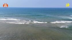 The Perfect Beach Vacation News Clip