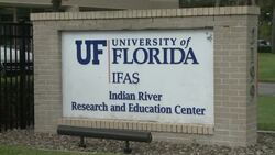 CLEAN : Invasive disease keeps Floridas orange industry under tight squeeze News Clip