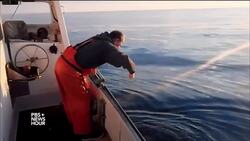 Can seafood industry get Americans to eat local fish? News Clip