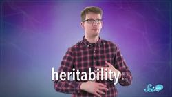 Are You Doomed to Turn into Your Parents? Instructional Video