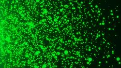 Many abstract small green particles in space, computer generated abstract background Stock Footage