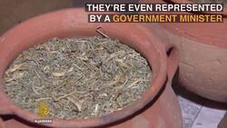 Can Traditional Healers Help Bolivia's Diabetes Epidemic? News Clip