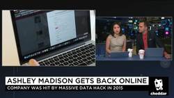 Ashley Madison Makes a Comeback News Clip