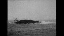 Atlantic Ocean, 1952: The Flying Enterprise sinks as waves pull it down Stock Footage