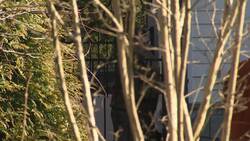 AP Debrief: AG Barr reviews Mueller report Instructional Video