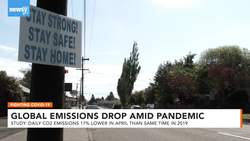 Study: Global Carbon Emissions Drop 17% Amid Pandemic News Clip