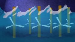 Different Types of Fuels for Transportation Instructional Video