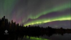 New lens on life: using photography to heal from trauma News Clip